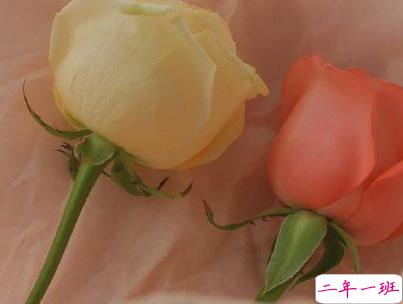 官宣恋爱的说说配图 官宣句子简短创意1