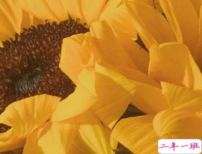 官宣恋爱的说说配图 官宣句子简短创意2