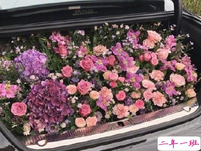 官宣恋爱的说说配图 官宣句子简短创意4