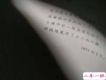 很酷的霸气句子带图片 最新霸气说说高冷范12