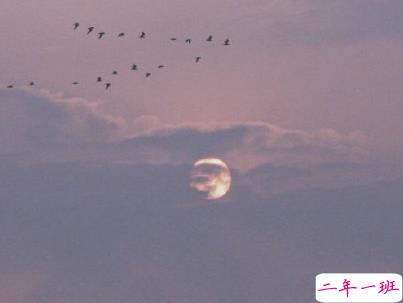 官宣恋爱的说说配图 官宣句子简短创意6