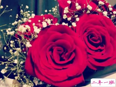 谐音梗土味情话大全带图片 油腻搞笑的土味情话8