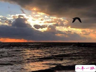 很酷的霸气句子带图片 最新霸气说说高冷范14