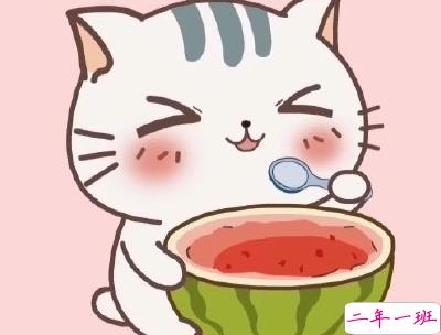 晒西瓜的句子简短带图片 夏天关于西瓜的说说9