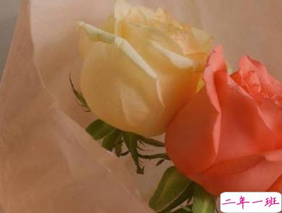 官宣恋爱的说说配图 官宣句子简短创意8