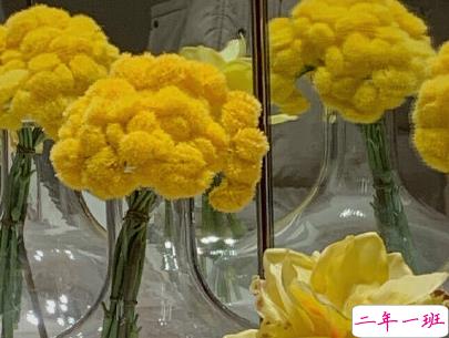 官宣恋爱的说说配图 官宣句子简短创意9