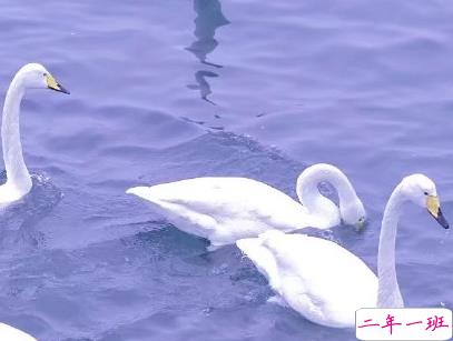 官宣恋爱的说说配图 官宣句子简短创意13