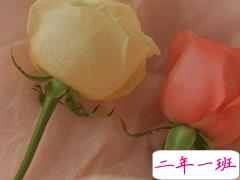 官宣恋爱的说说配图 官宣句子简短创意