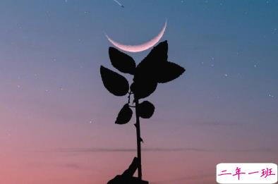 冬天有关美食的朋友圈文案 微博最火的文案1