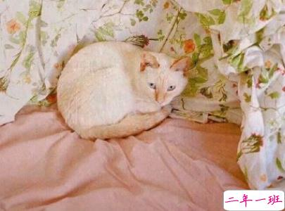 520情人节甜句子带图片 520最暖心情话20208