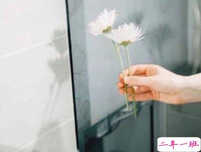 520情人节甜句子带图片 520最暖心情话20209