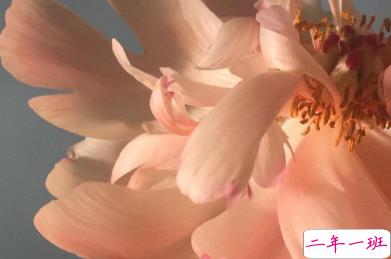 冬天有关美食的朋友圈文案 微博最火的文案11