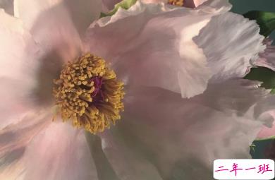 冬天有关美食的朋友圈文案 微博最火的文案13