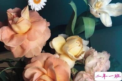 冬天有关美食的朋友圈文案 微博最火的文案14