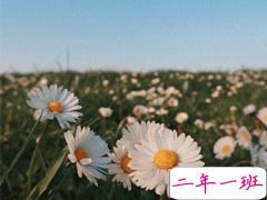 15句教你如何去看懂一个人 教你如何去识人