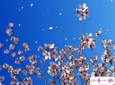 非常浪漫的表白句子带图片 最美的情话说给最爱的人听7