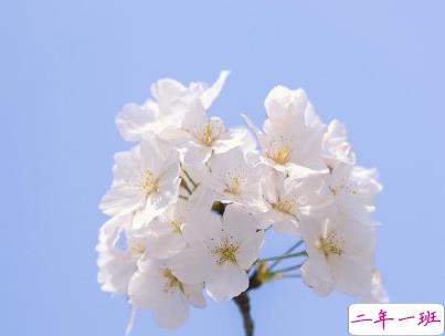 非常浪漫的表白句子带图片 最美的情话说给最爱的人听14