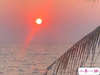 撩人浪漫的情话说说带图片 你这么甜我真想舔舔3