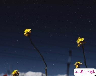 朋友圈心痛心碎的说说带图片 内心疼痛的悲伤句子2