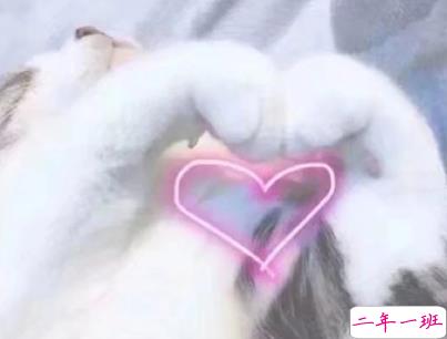 撩人浪漫的情话说说带图片 你这么甜我真想舔舔11