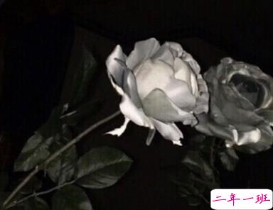 朋友圈心痛心碎的说说带图片 内心疼痛的悲伤句子12