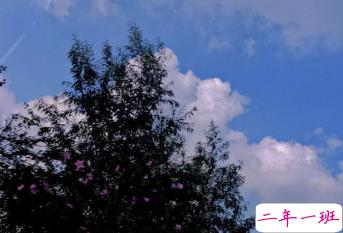 教师节个性图片带说说 做我们平淡岁月里的星辰4