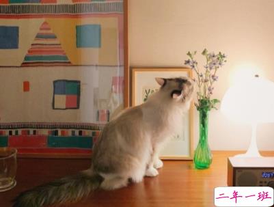 简单的幸福说说带图片 女生甜如蜜的幸福说说3