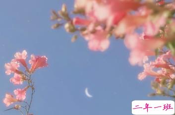 教师节个性图片带说说 做我们平淡岁月里的星辰9