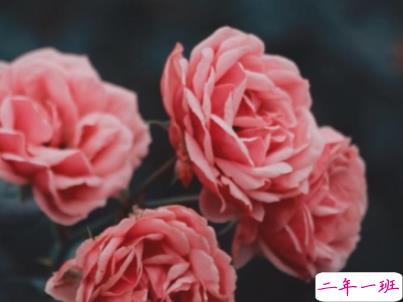 秀恩爱简短的话高手合集 低调又强势的秀恩爱说说配图2