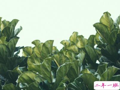 简单的幸福说说带图片 女生甜如蜜的幸福说说9