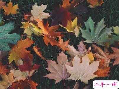 秀恩爱简短的话高手合集 低调又强势的秀恩爱说说配图7