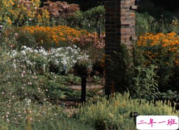 最新收集有关秋天的句子 切充满希望温柔又热烈11