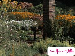 最新收集有关秋天的句子 切充满希望温柔又热烈