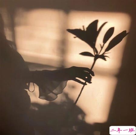 适合微信状态的小众文案带背景图 很高逼格的微信状态文案1