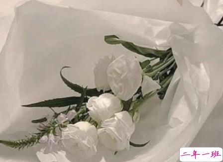 温柔可爱的文字带图片 随身的行囊装些快乐1