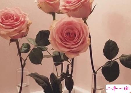 温柔可爱的文字带图片 随身的行囊装些快乐2