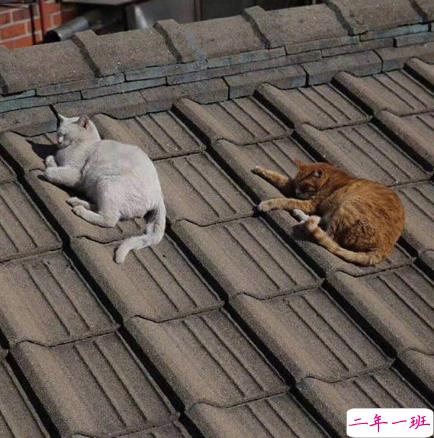 适合微信状态的小众文案带背景图 很高逼格的微信状态文案5