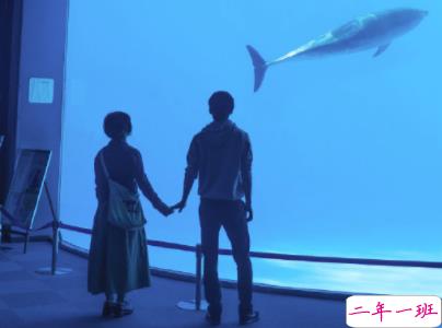 纪念日的甜言蜜语说说带图片 致自己结婚纪念日短句10