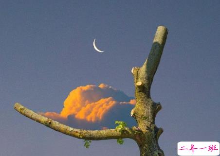 温柔可爱的文字带图片 随身的行囊装些快乐11