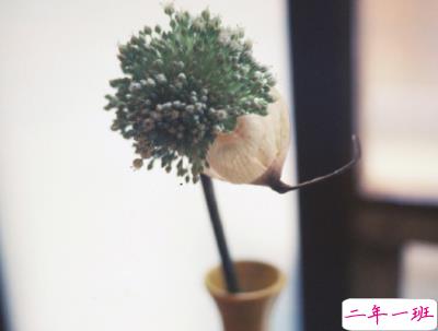 纪念日的甜言蜜语说说带图片 致自己结婚纪念日短句14