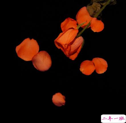 适合微信状态的小众文案带背景图 很高逼格的微信状态文案14