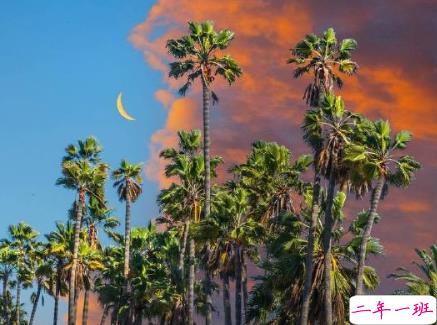 温柔可爱的文字带图片 随身的行囊装些快乐15