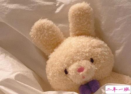 适合晒结婚证的有趣文案带图片 持证上岗未来共同富裕15