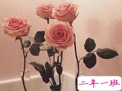 温柔可爱的文字带图片 随身的行囊装些快乐