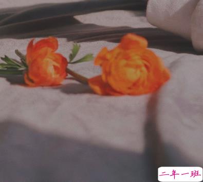 2021适合跨年夜官宣恋爱的句子 以后的生活里都有你这个小可爱1