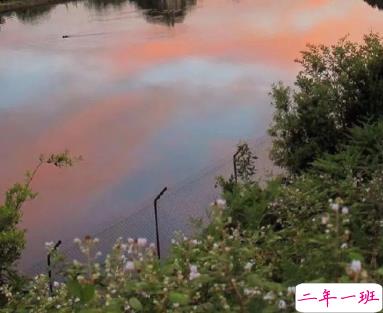 2021适合跨年夜官宣恋爱的句子 以后的生活里都有你这个小可爱2