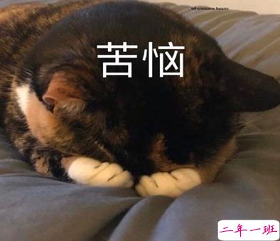 2021智障沙雕发说说带图片 看一次笑一次的说说1