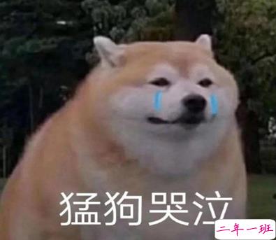 2021智障沙雕发说说带图片 看一次笑一次的说说3