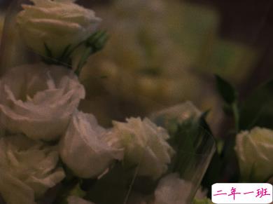 15条浪漫的诗意爱情句子 爱意却是脑海一闪而过的善意8