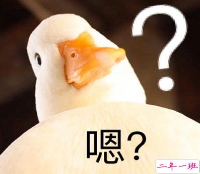 2021智障沙雕发说说带图片 看一次笑一次的说说7